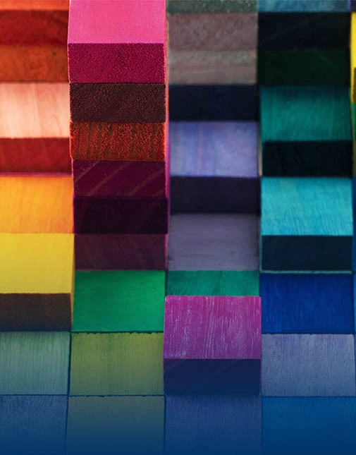 Diversity Equity & Inclusion Counseling