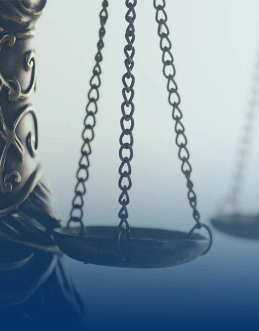 Antitrust Litigation