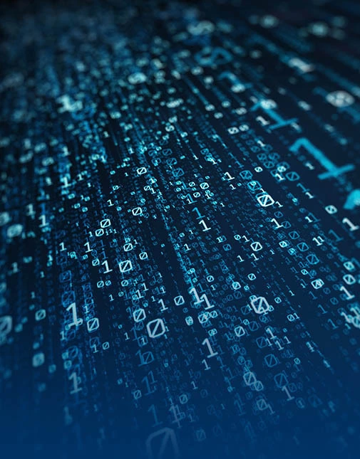 Software Audits