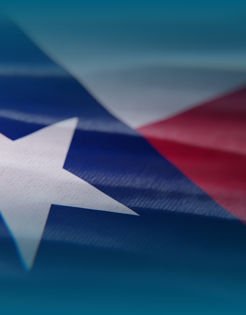 Image of Texas Flag Zoomed In