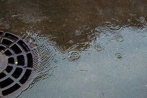 You Say You Want a Business License? California Enacts New Law to Improve Compliance with Industrial Storm Water Permitting Requirements