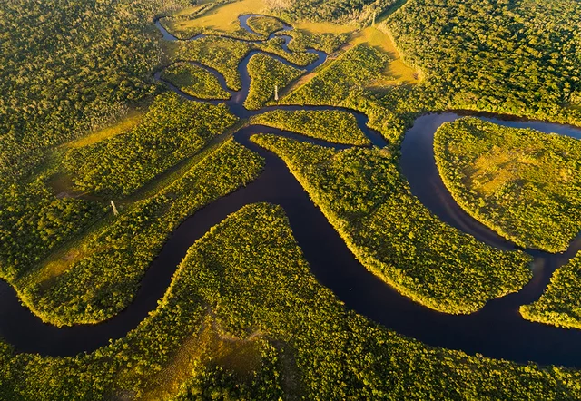 Wetlands