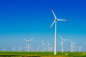 What to Watch for in 2026: The Trump Administration Resumes Eagle Take Permitting for Wind Facilities
