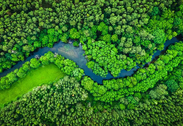 Managing Greenwashing Risks When Revising Sustainability Targets
